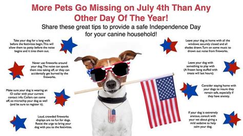 How to protect your pets during 4th of July holiday